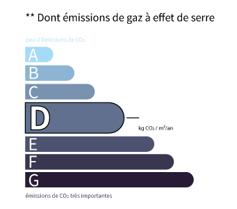 GES : CLASSE GES D (38,00)